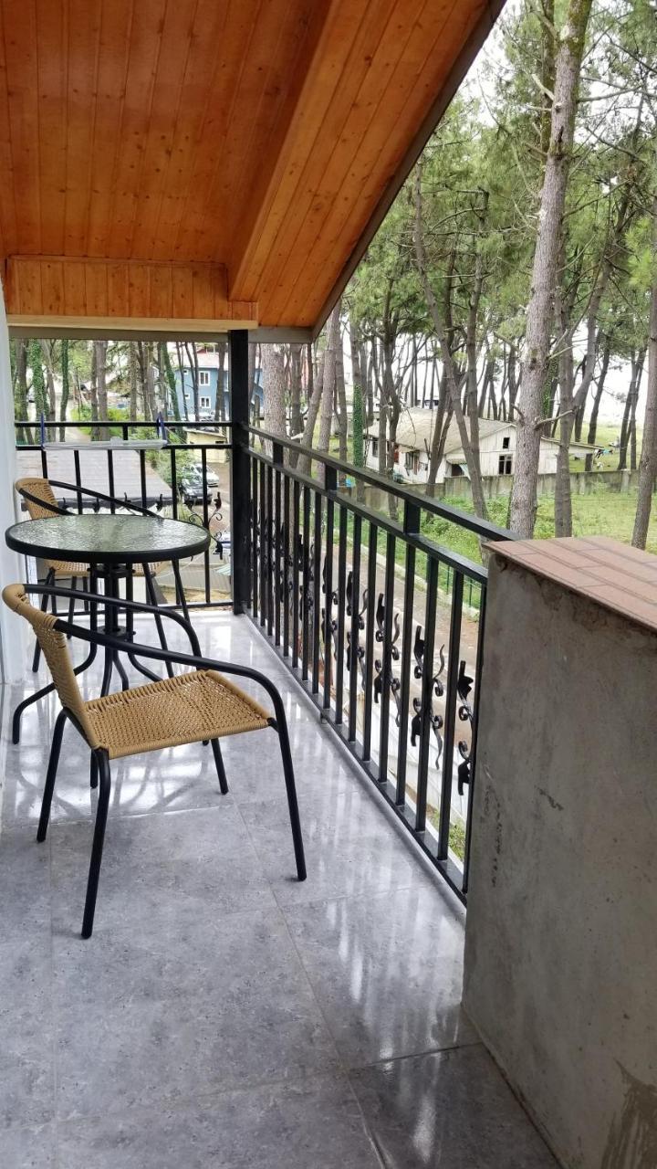 Gina Shekvetili Hotel Exterior photo